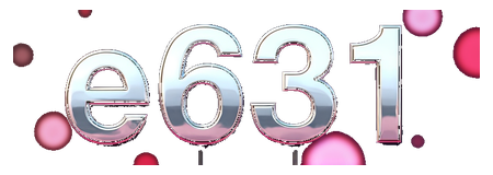 e631 logo